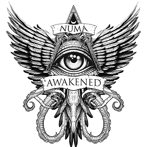 NUMA Awakened Game Logo